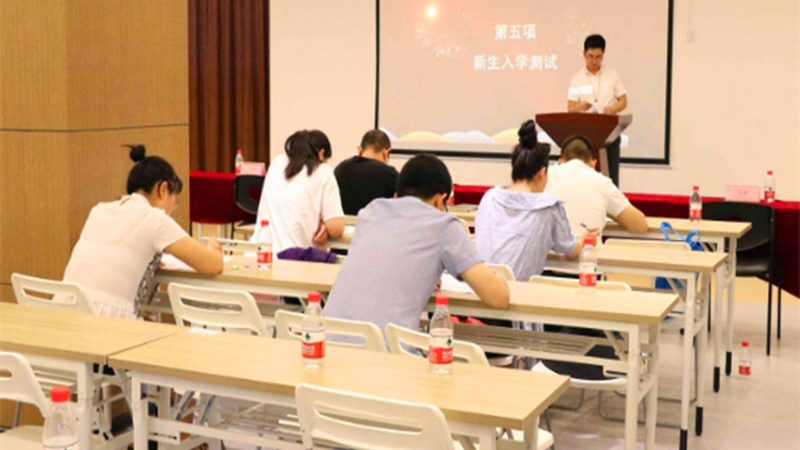 技能培训收费标准明细，揭秘背后的定价逻辑